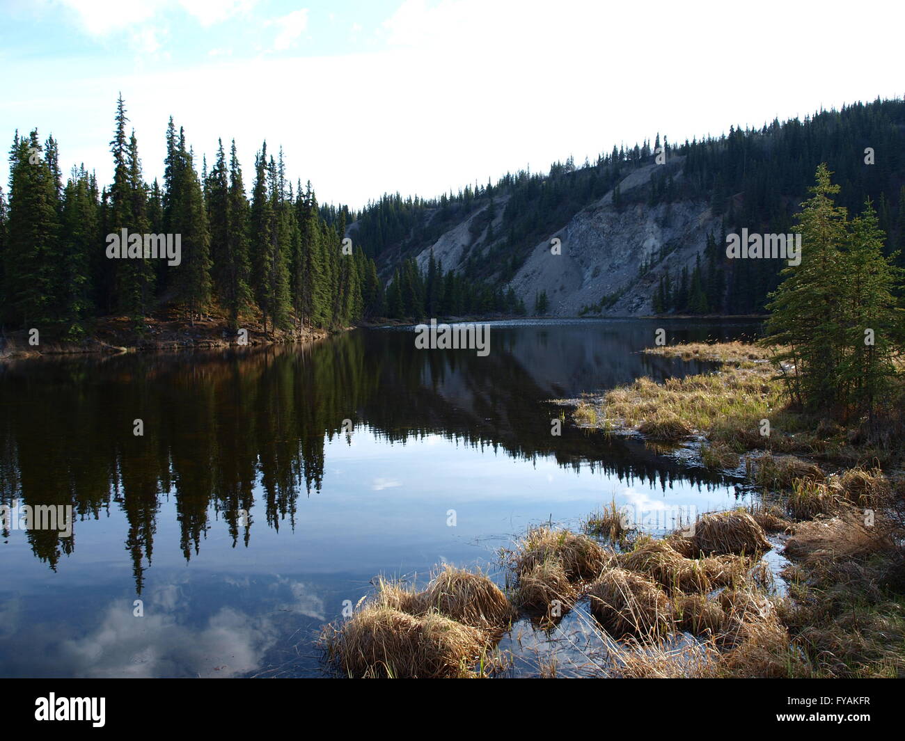 Beaver lago appena fuori dal Parco Nazionale di Denali Foto Stock