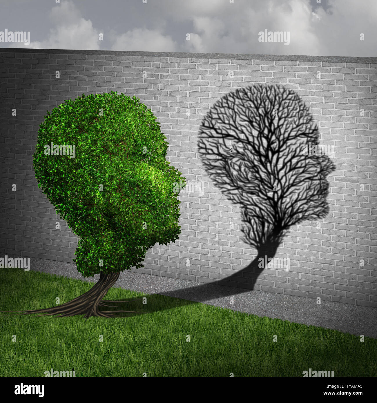 La sensazione di malessere e concetto di malattia come un intero albero verde getta un' ombra su una parete sagomata come un impianto vuoto con rami solo come un simbolo di salute delle malattie umane e la malattia in un 3D illustrazione dello stile. Foto Stock