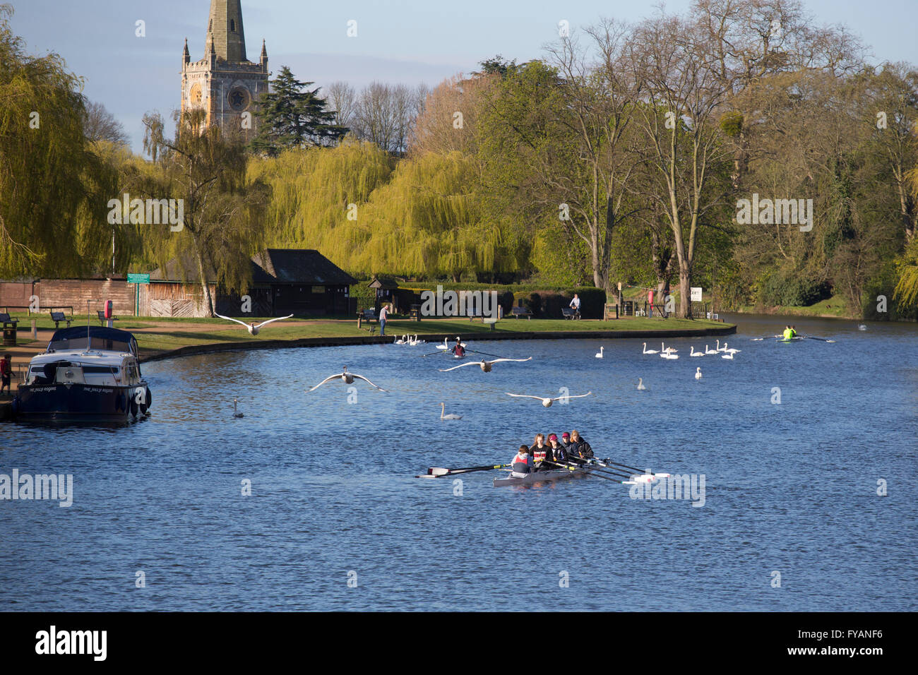 I canottieri sul fiume Avon a Stratford-upon-Avon, Regno Unito Foto Stock