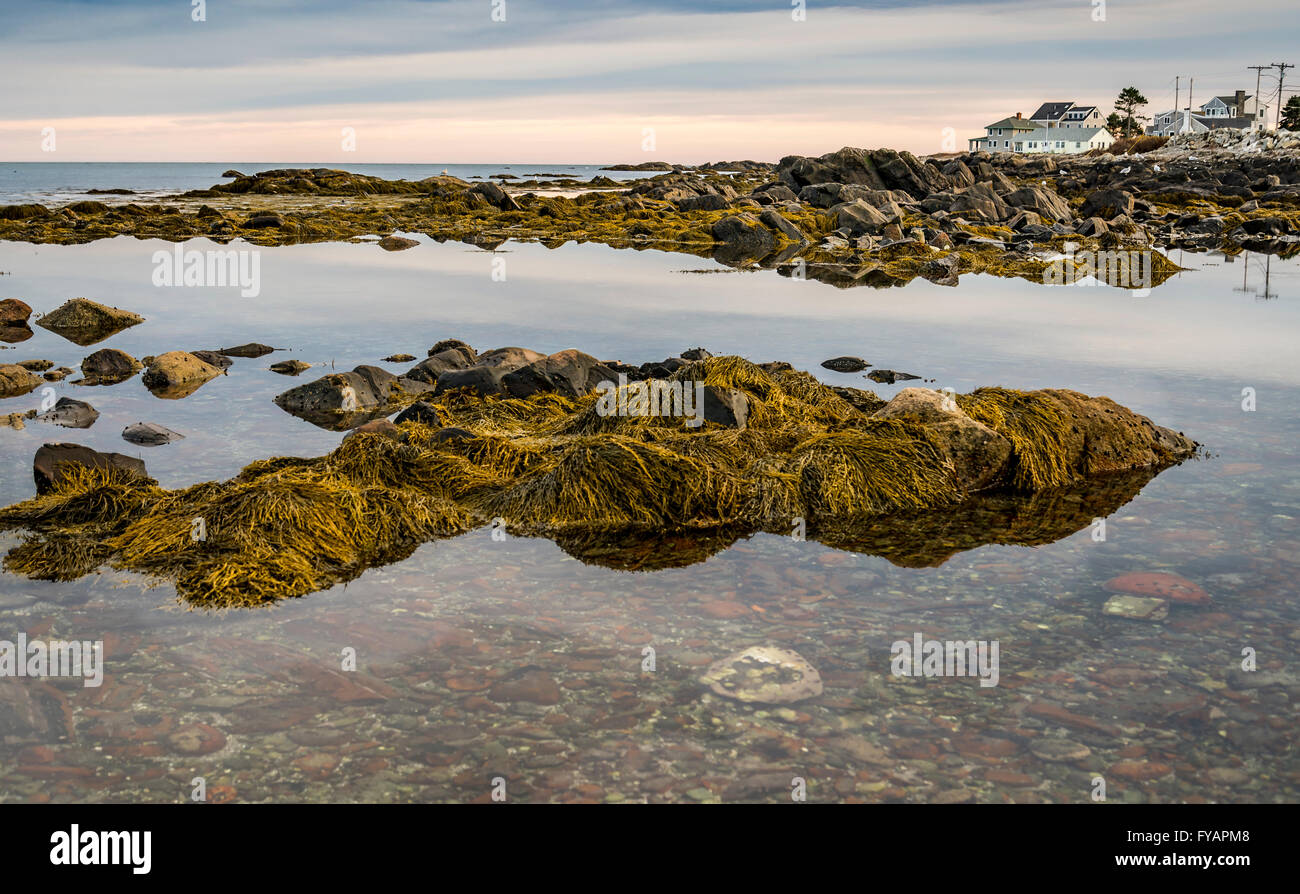 Costa del Maine al tramonto Foto Stock