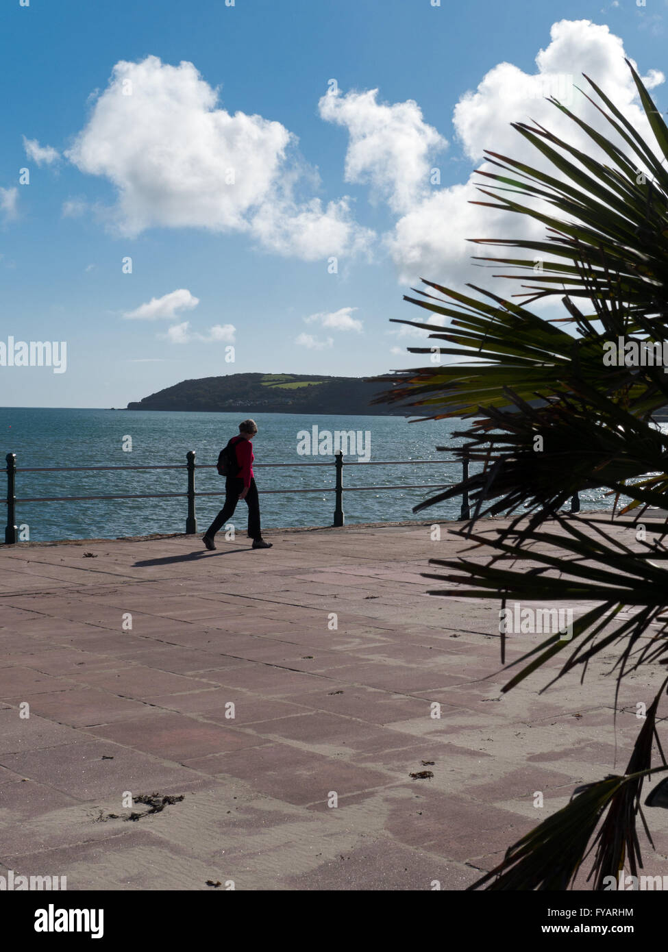 Il lungomare a Penzance con le sue palme vista del monte's Bay verso Mousehole, Cornwall, Inghilterra Foto Stock