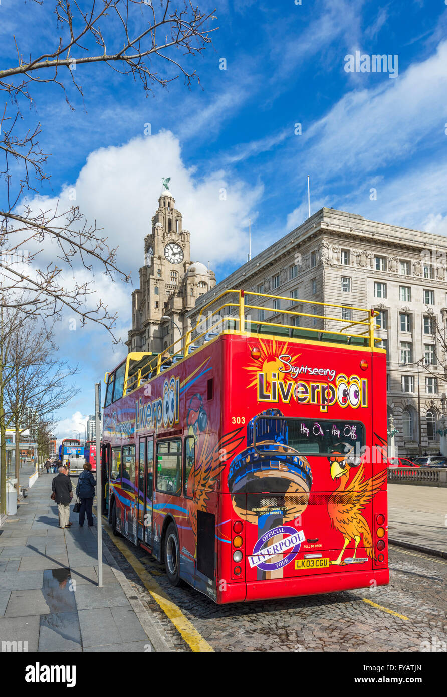 Autobus Turistici al Pier Head, Liverpool, Merseyside England, Regno Unito Foto Stock