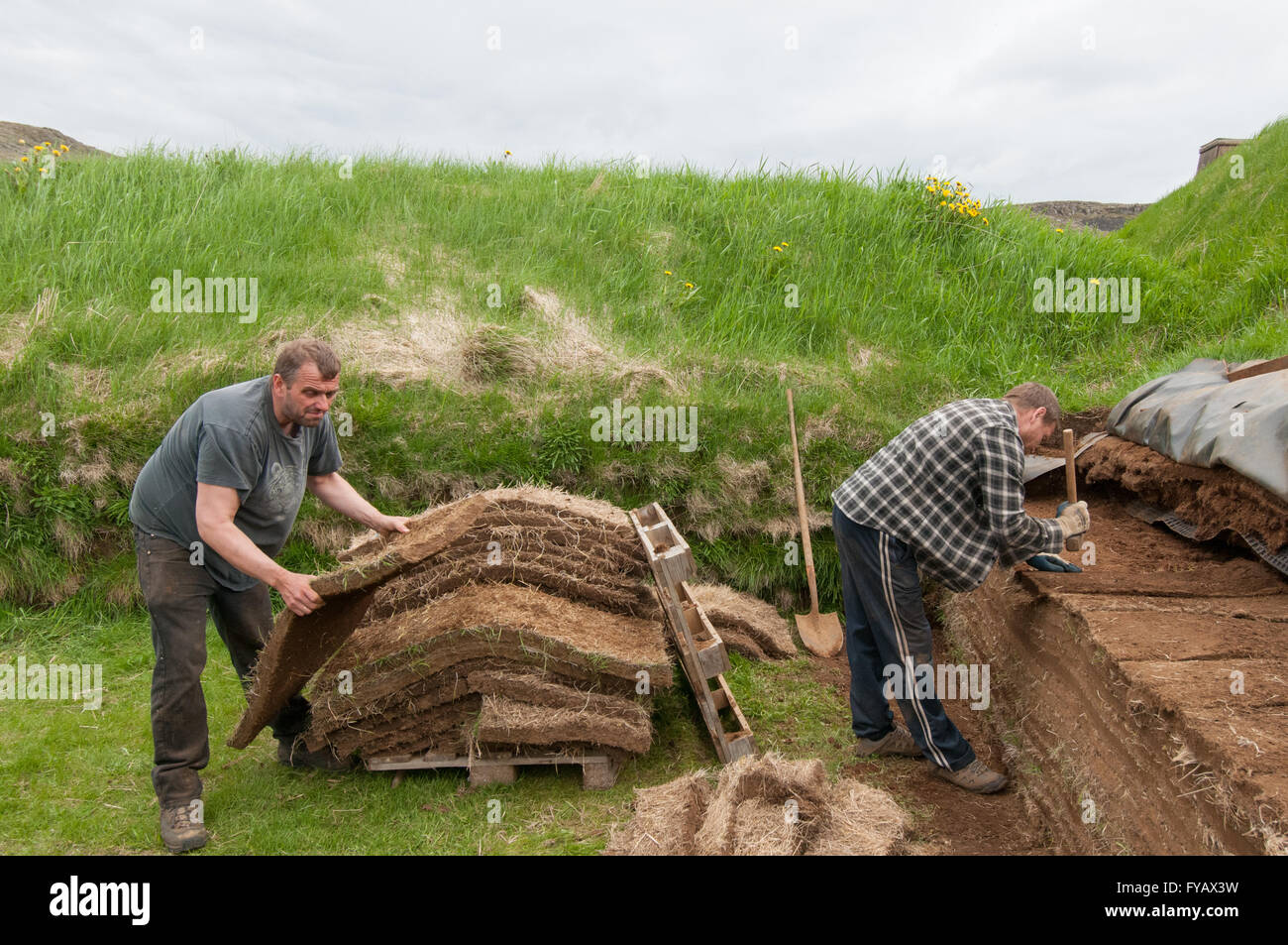 Costruzione di una casa di Viking Islanda Foto Stock