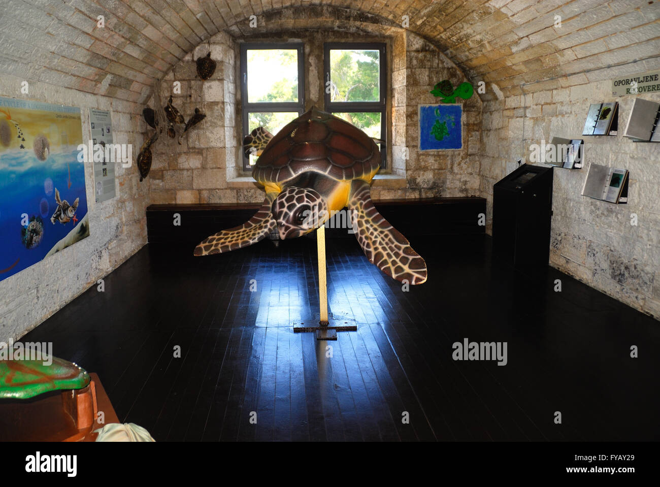 Verudela, Pola, Istria, Croazia. La tartaruga di mare centro di recupero  della Pula Aquarium si trova all'interno dell'Impero Austro-ungarico  Verudela fortezza militare, costruito nel 1886 sulla penisola Verudela, a 3  km dal