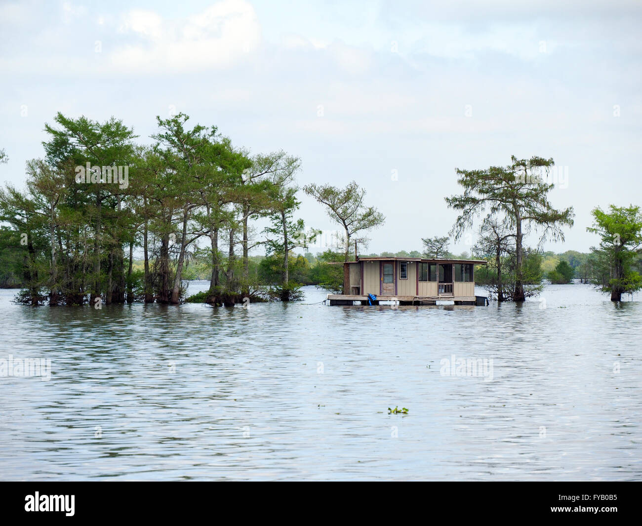Casa galleggiante su Atchafalaya Bayou Foto Stock