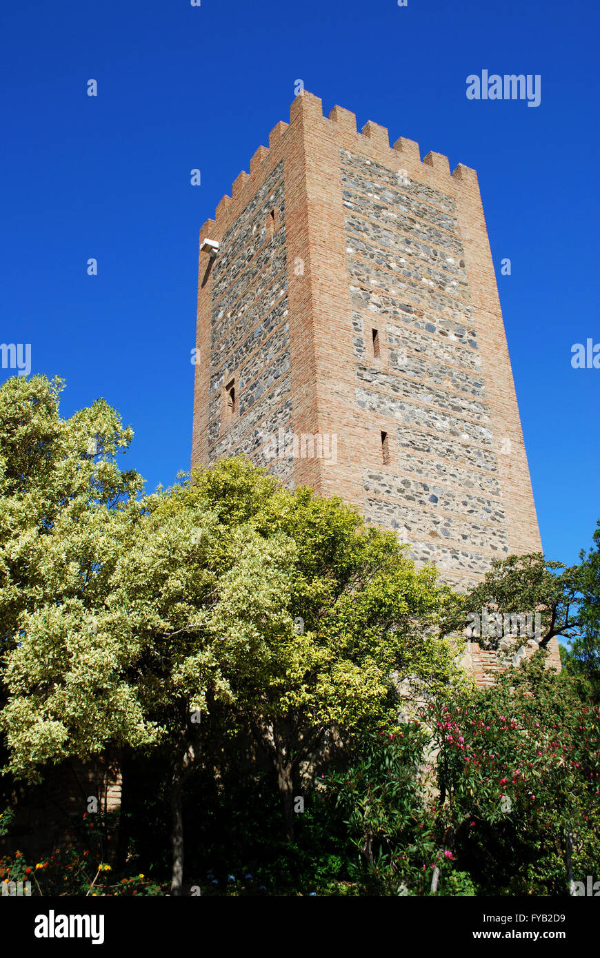 Vista del castello arabo tower (torre del Homenaje) con alberi in primo piano, Velez Malaga, Costa del Sol, Spagna. Foto Stock