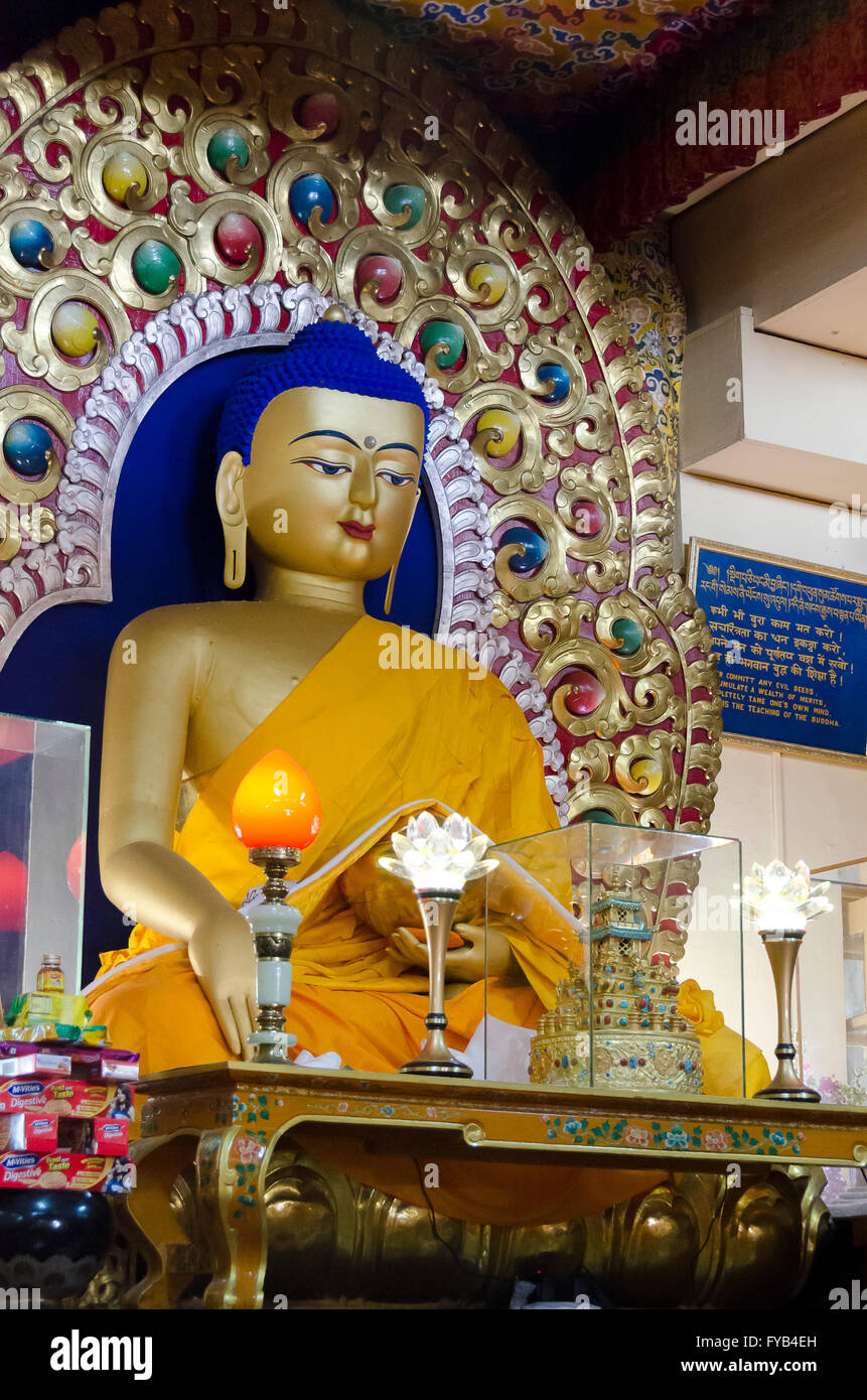Buddha a Dalai Lama tempio, McLeod Ganj, Dharamshala, Distict Kangra, Himachal Pradesh, India. Foto Stock