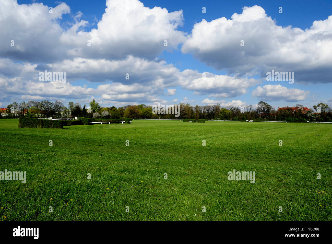 Racing, cavallo, Partynice Wroclaw, Polonia, aprire la stagione 2016, Wroclaw, Dolnoslaskie, partynice, Polonia, Europa, 24 aprile 2016, Foto Stock