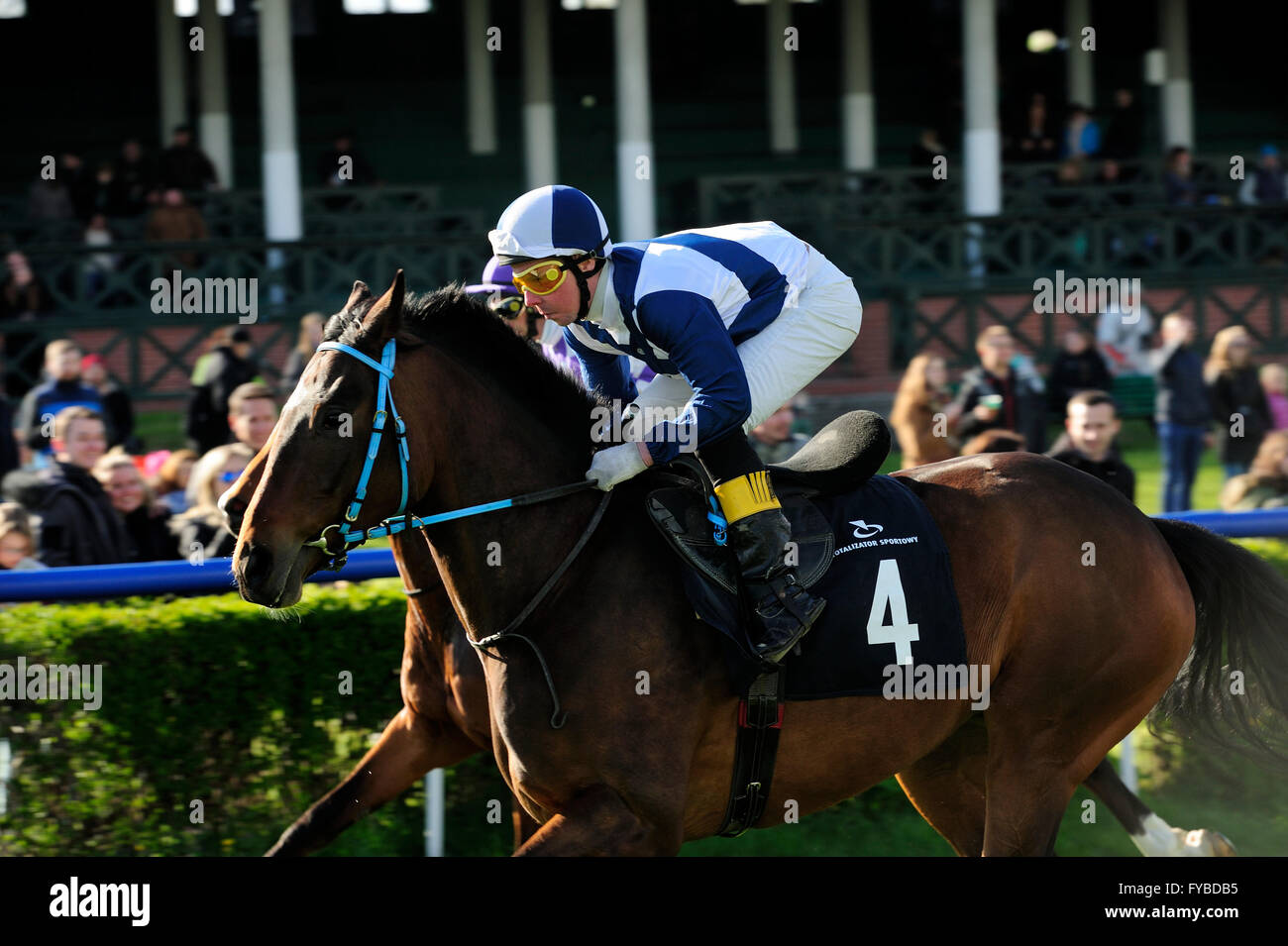 Racing, cavallo, Partynice Wroclaw, Polonia, aprire la stagione 2016, 24 aprile 2016, Wroclaw, Dolnoslaskie, partynice, Polonia, europa Foto Stock