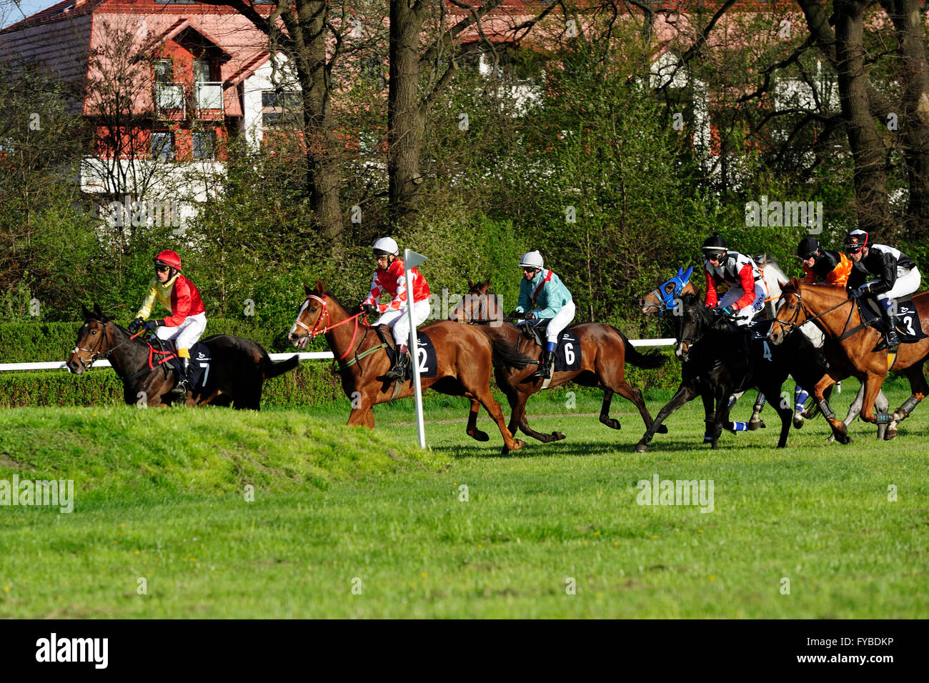 Racing, cavallo, Partynice Wroclaw, Polonia, aprire la stagione 2016, 24 aprile 2016, Wroclaw, Dolnoslaskie, partynice, Polonia, europa Foto Stock