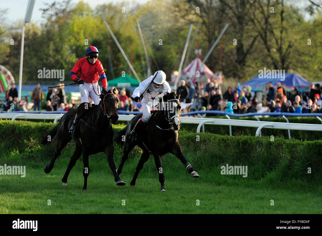 Ippodromo, Partynice Wroclaw, Polonia, stagione aperta 2016, 24 aprile 2016,wroclaw, dolnoslaskie, partynice, polonia, europa,foto Kazimierz Jurewicz Foto Stock