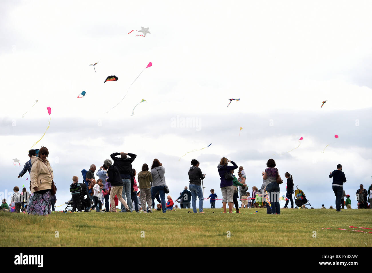 Dunstable kite festival folla Dunstable Downs vento Display Foto Stock