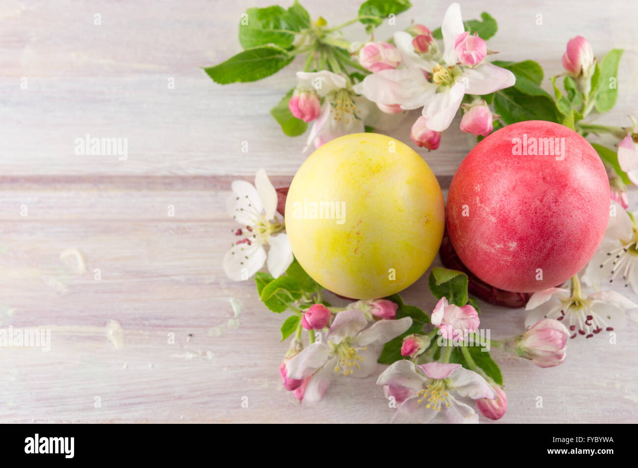 Dipinto di uova di Pasqua e fiori di primavera Foto Stock