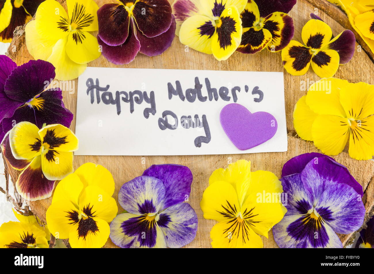 Felice Festa della mamma card con viola e fiori di colore giallo Foto Stock