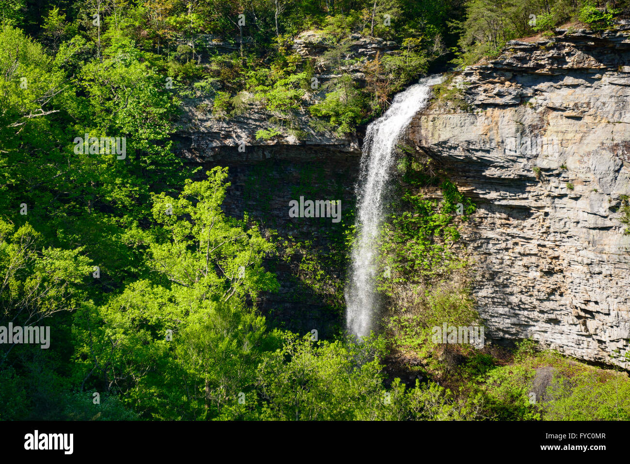 Little River Canyon National Preserve Foto Stock