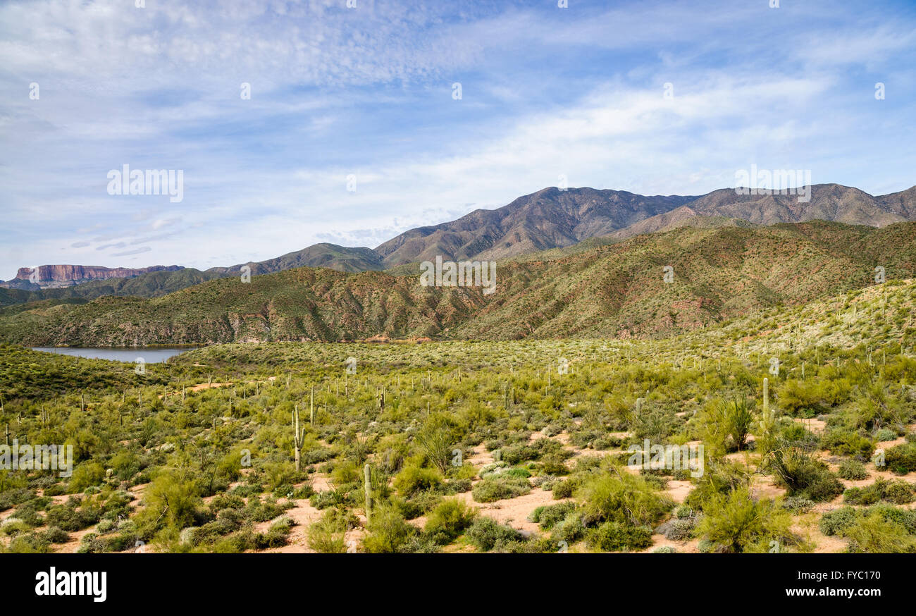 Apache Trail Foto Stock