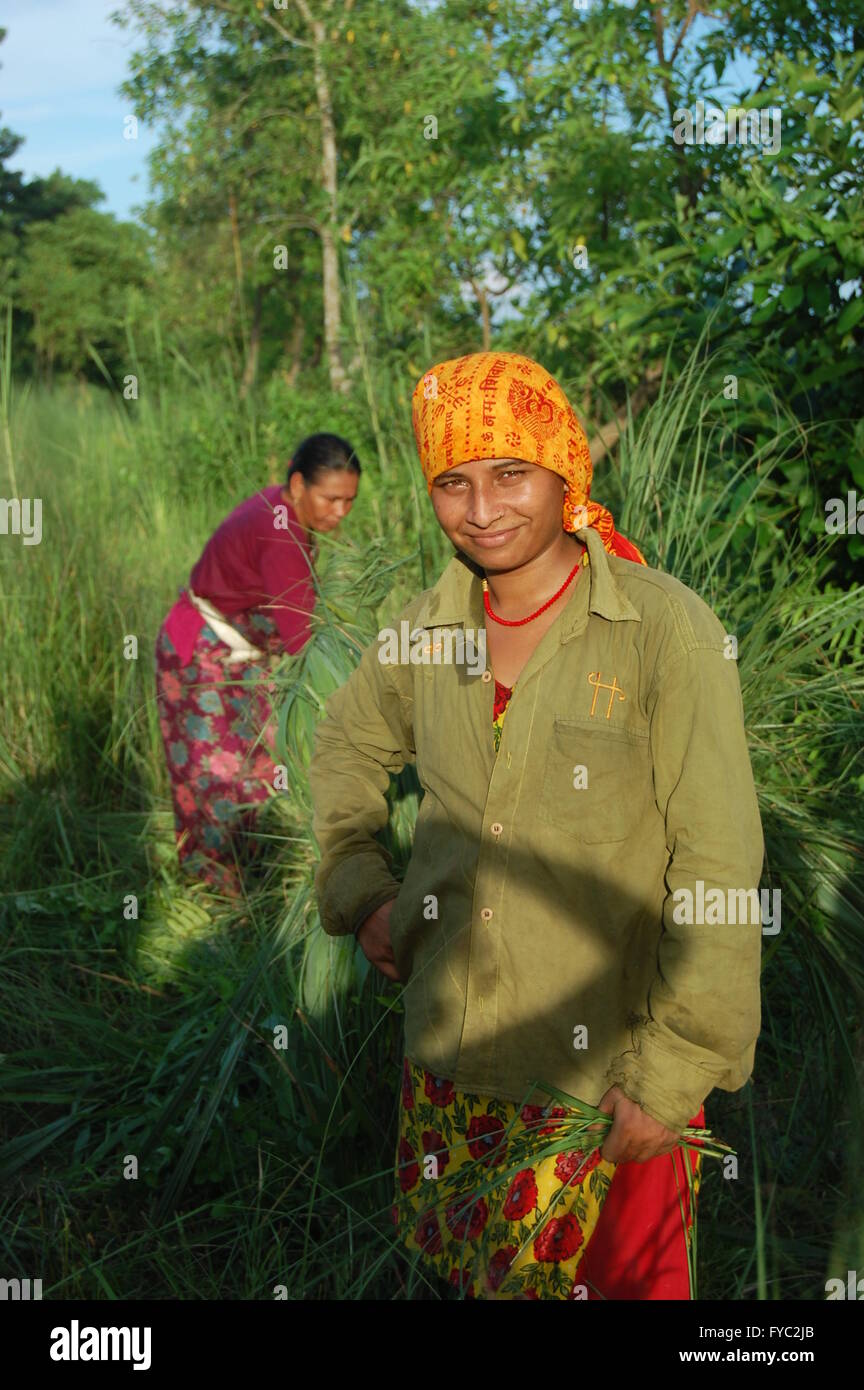 Nepalesi al lavoro nella giungla, Chitwan, Nepal Foto Stock