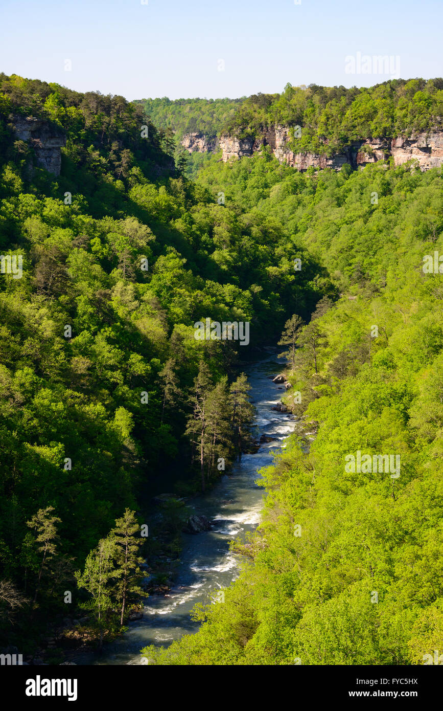 Little River Canyon National Preserve Foto Stock