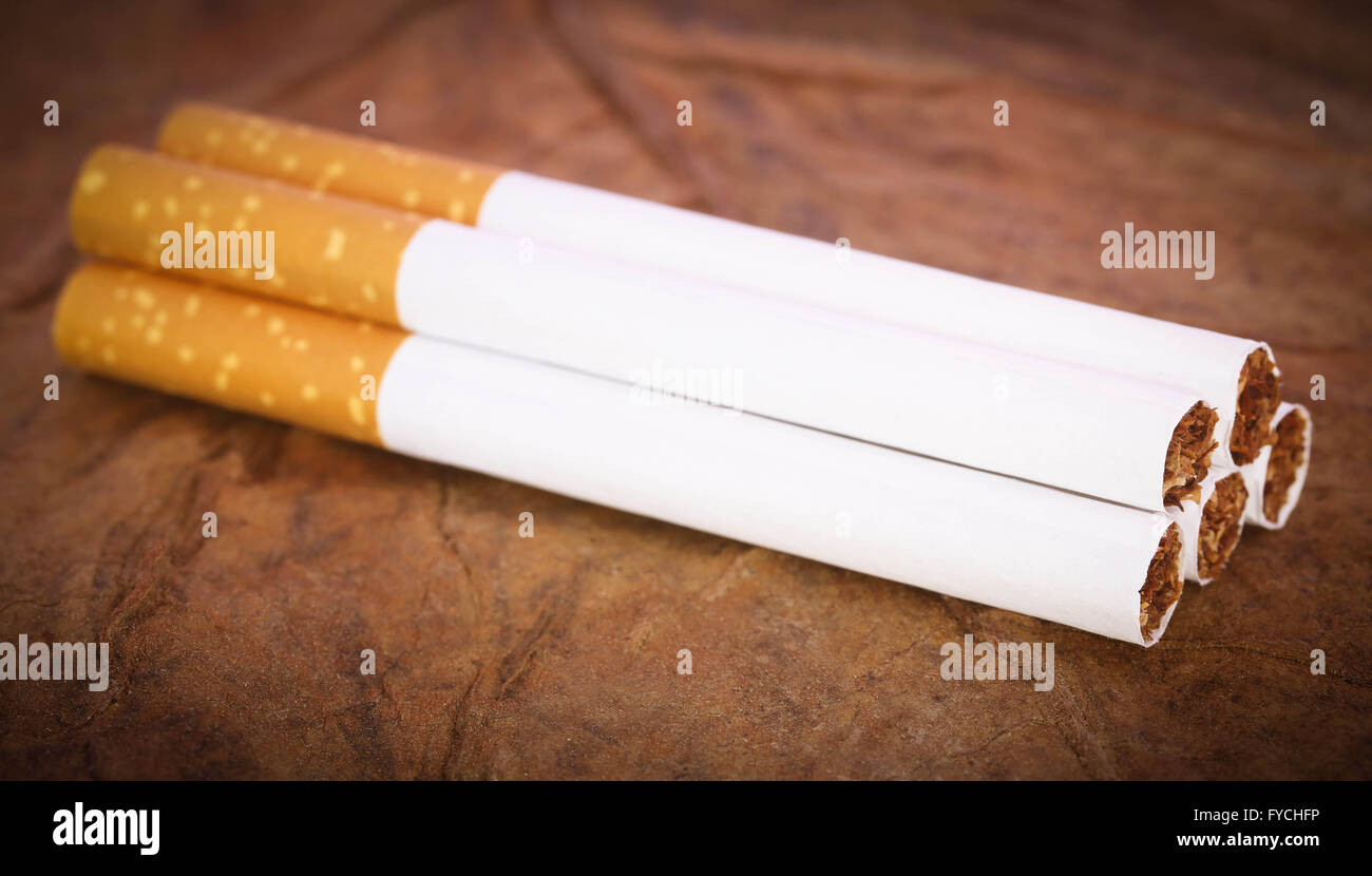 Sigaretta con filtro a secco delle foglie di tabacco Foto Stock