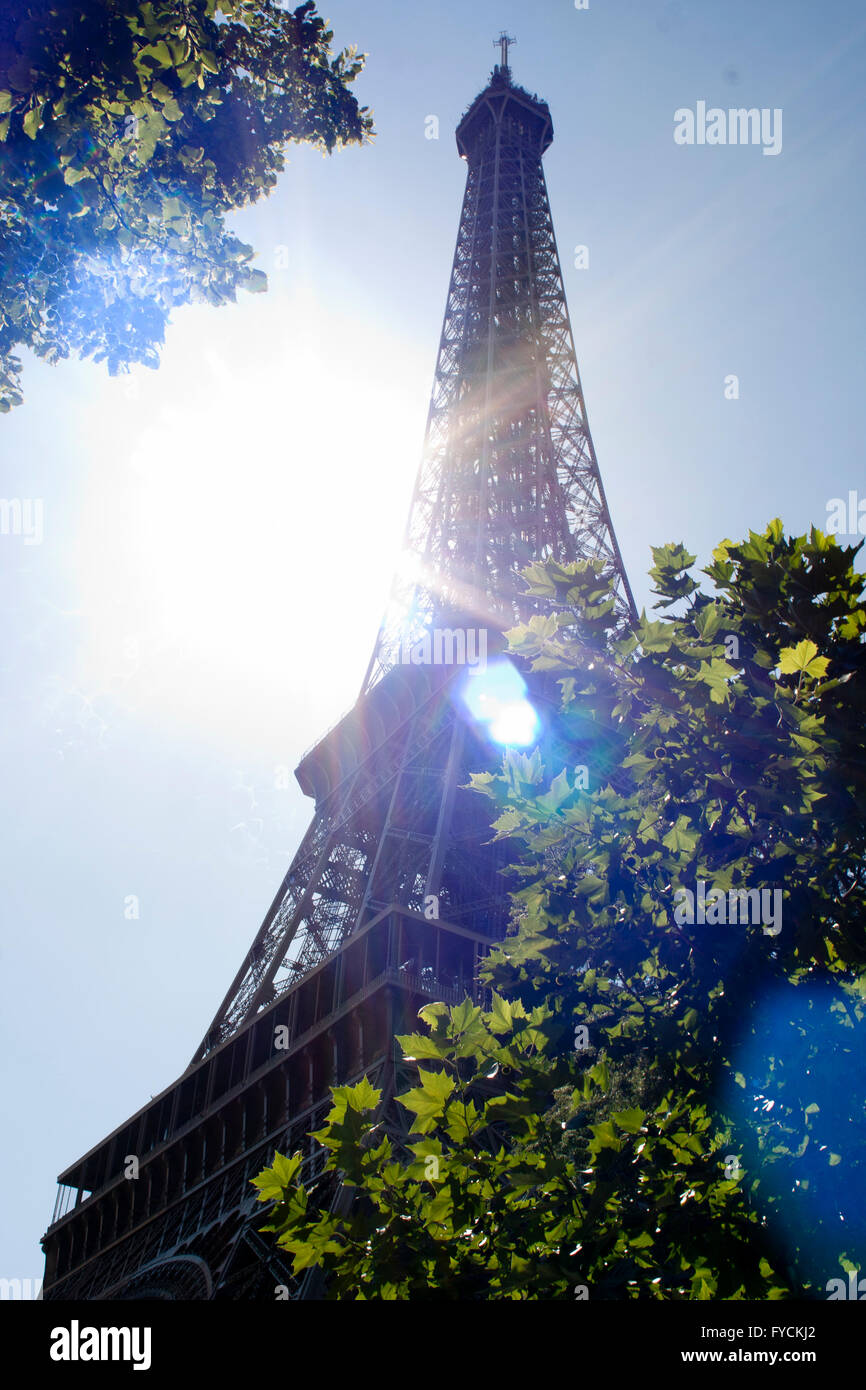 Una vista generale della Torre Eiffel in Champ de Mars a Parigi. Francia Foto Stock