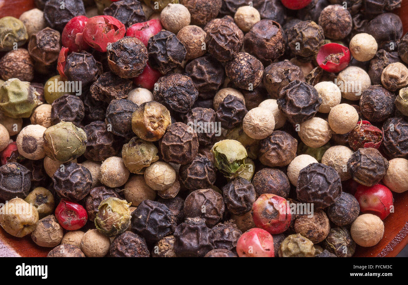 Close up di grani di pepe. Foto Stock