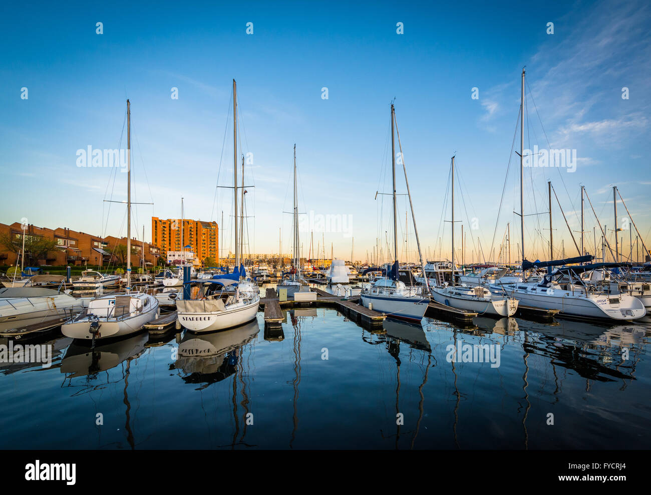 Barche ormeggiate in un marina del Cantone, Baltimore, Maryland. Foto Stock