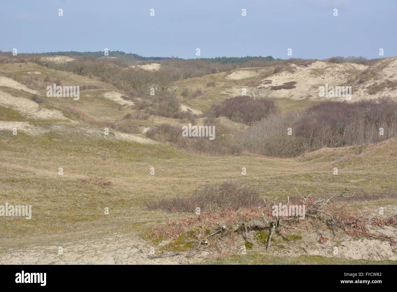 Camperduin, Paesi Bassi - 26 Marzo 2016: le famiglie in bicicletta attraverso duins in Olanda Settentrionale Foto Stock