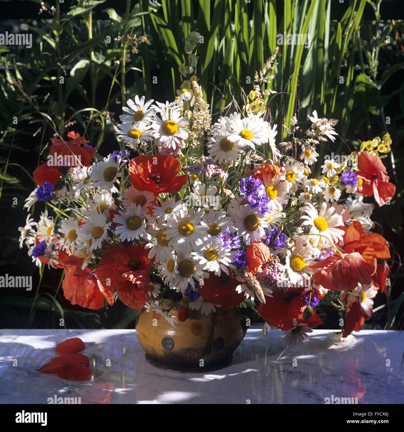 Bouquet di fieldflowers Foto Stock