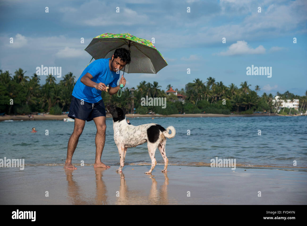 Un uomo che gioca con un cane in una spiaggia a Galle, Sri Lanka Foto Stock