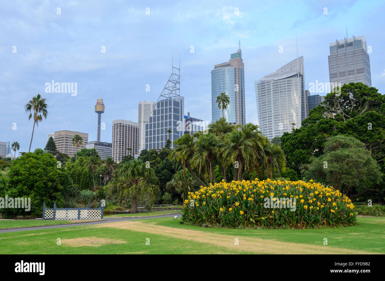 Sydney dal Giardino Botanico Foto Stock