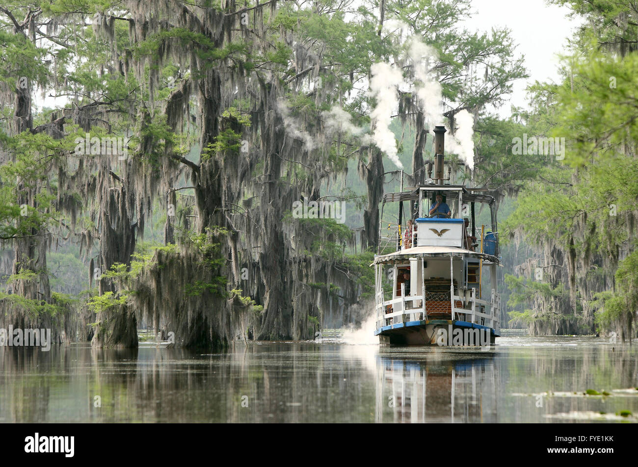 Il grazioso Ghost ruota a palette barca su un tour di Caddo lago vicino incerta, Texas. Foto Stock