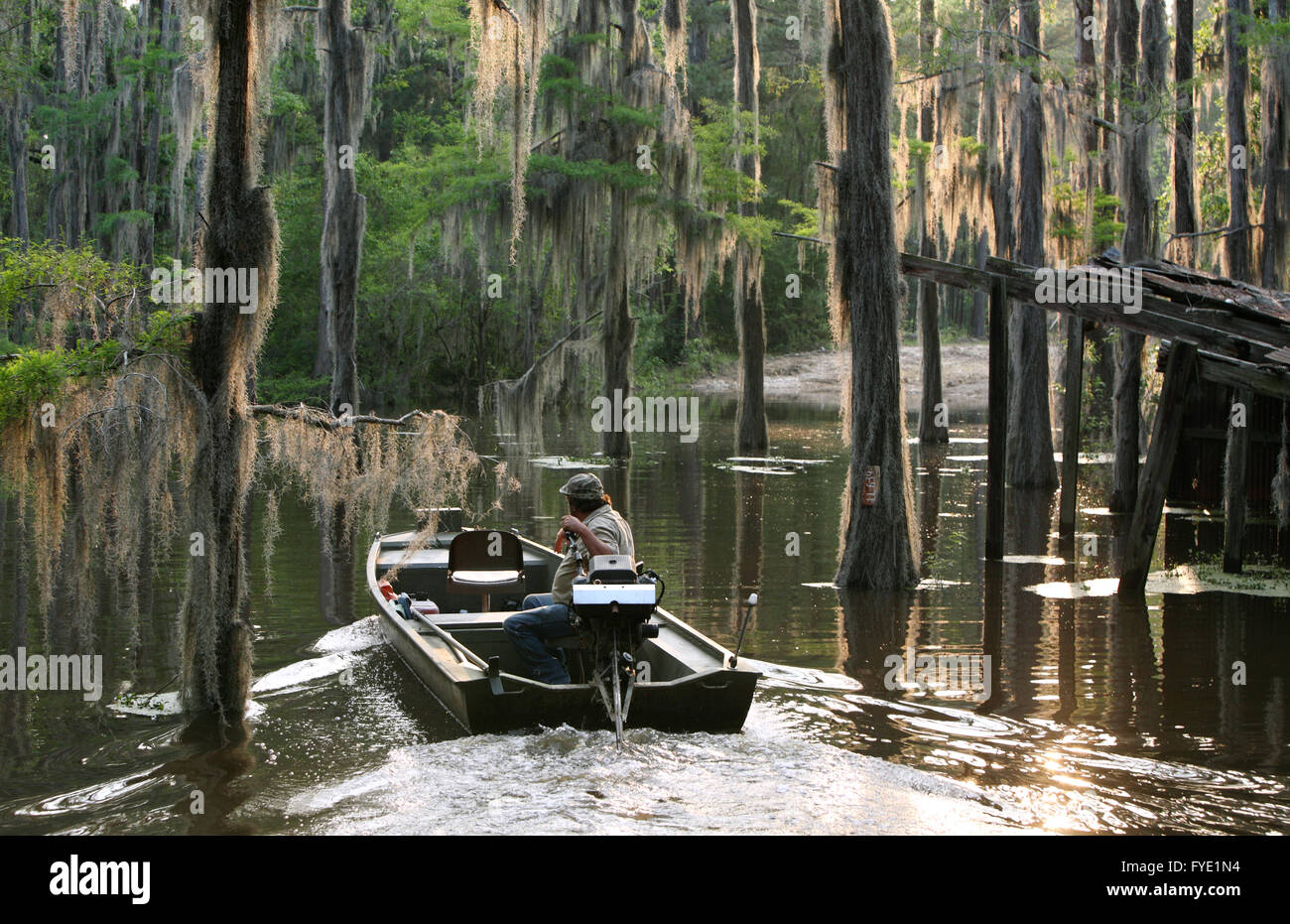 John Winn di Caddo Outback backwaters Tours offre viaggi personali di Caddo Lake. Foto Stock