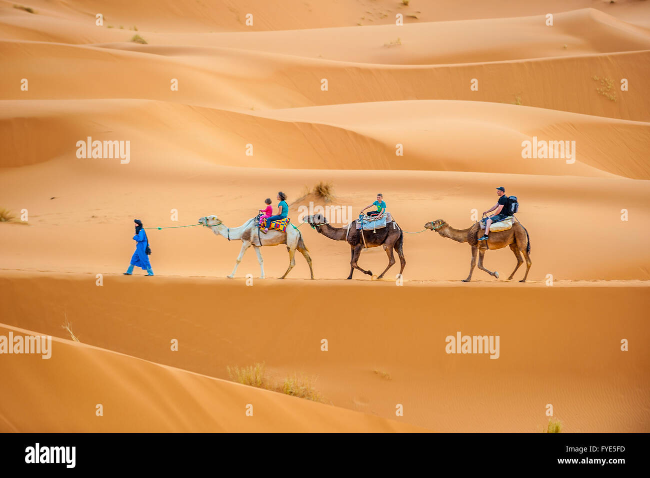 ERG CHEBBY, Marocco - aprile, 12, 2013: i turisti a cavallo di cammelli in Erg Chebbi, Marocco Foto Stock
