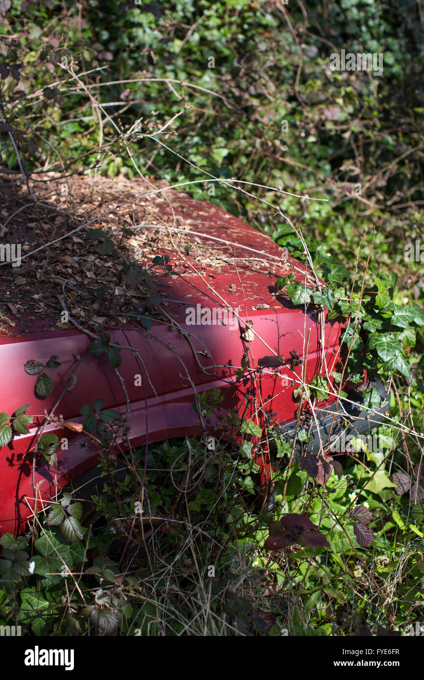 Un vecchio wrekced auto coperti in piante ricoperta sul bordo di un campo. Foto Stock