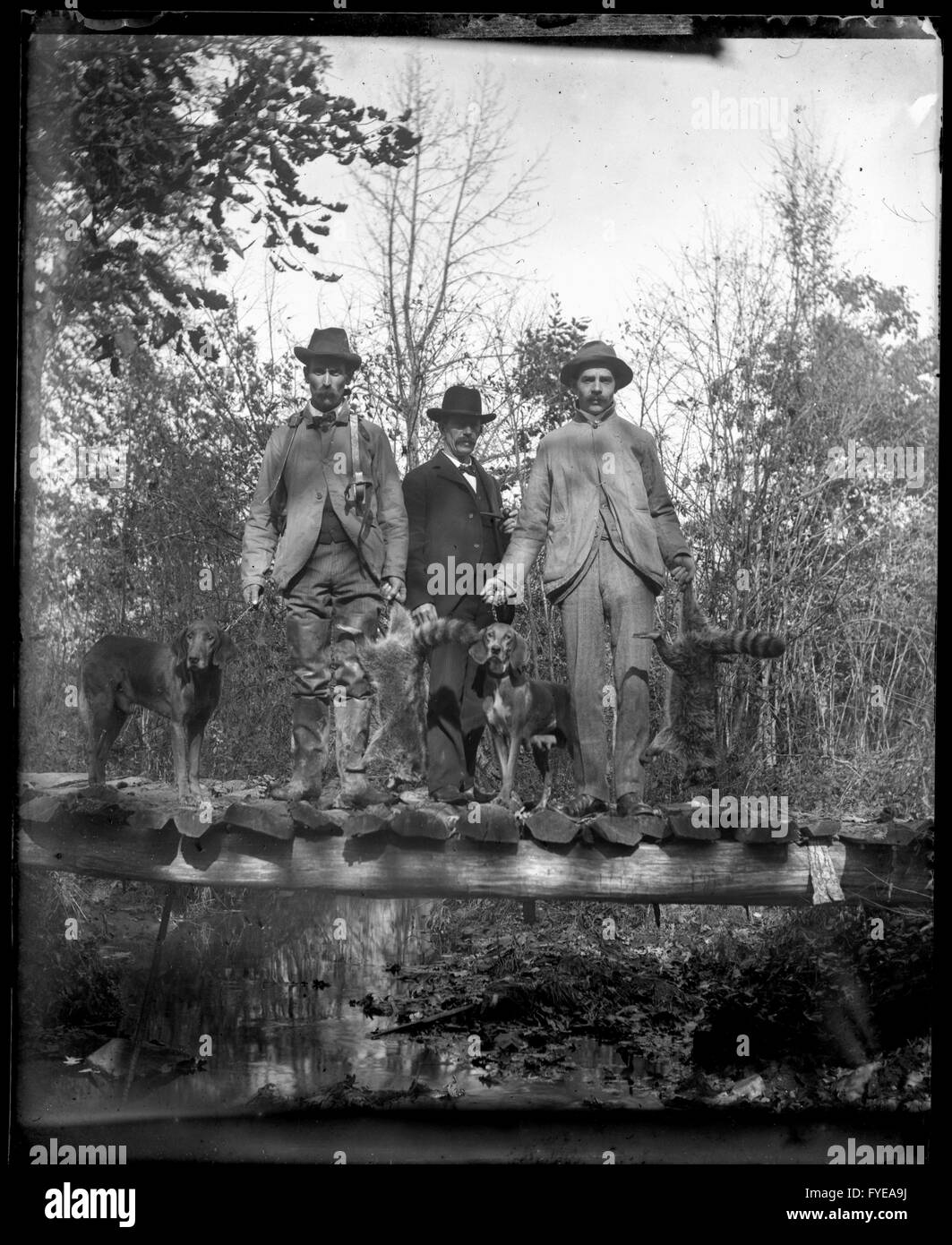 Fotografia vittoriano di uomini e i loro cani da caccia in Fallston, Maryland Foto Stock