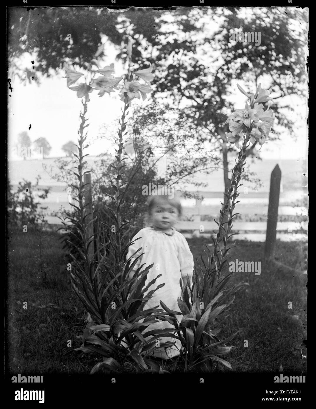 Fotografia vittoriano di un bambino al di fuori in Fallston, Maryland Foto Stock