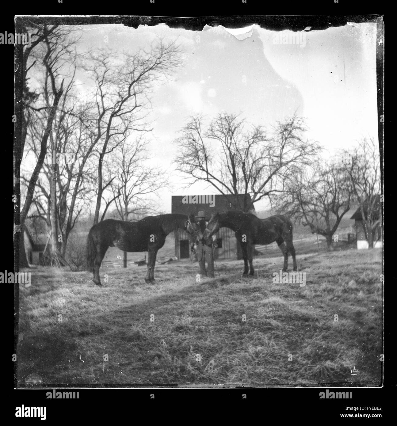 Fotografia vittoriano di un uomo con due cavalli in una fattoria in Fallston, Maryland. Foto Stock