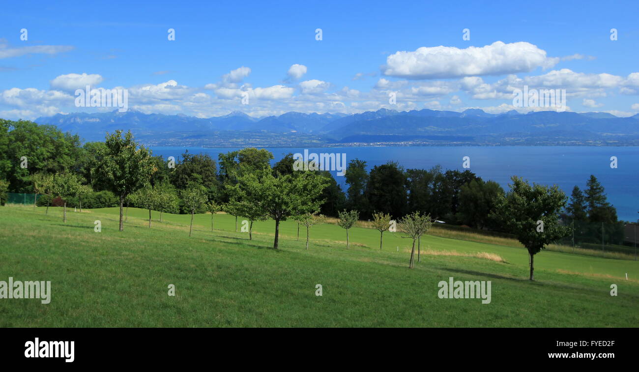 Vista del lago di Ginevra e del paesaggio del canton Vaud, Foto Stock