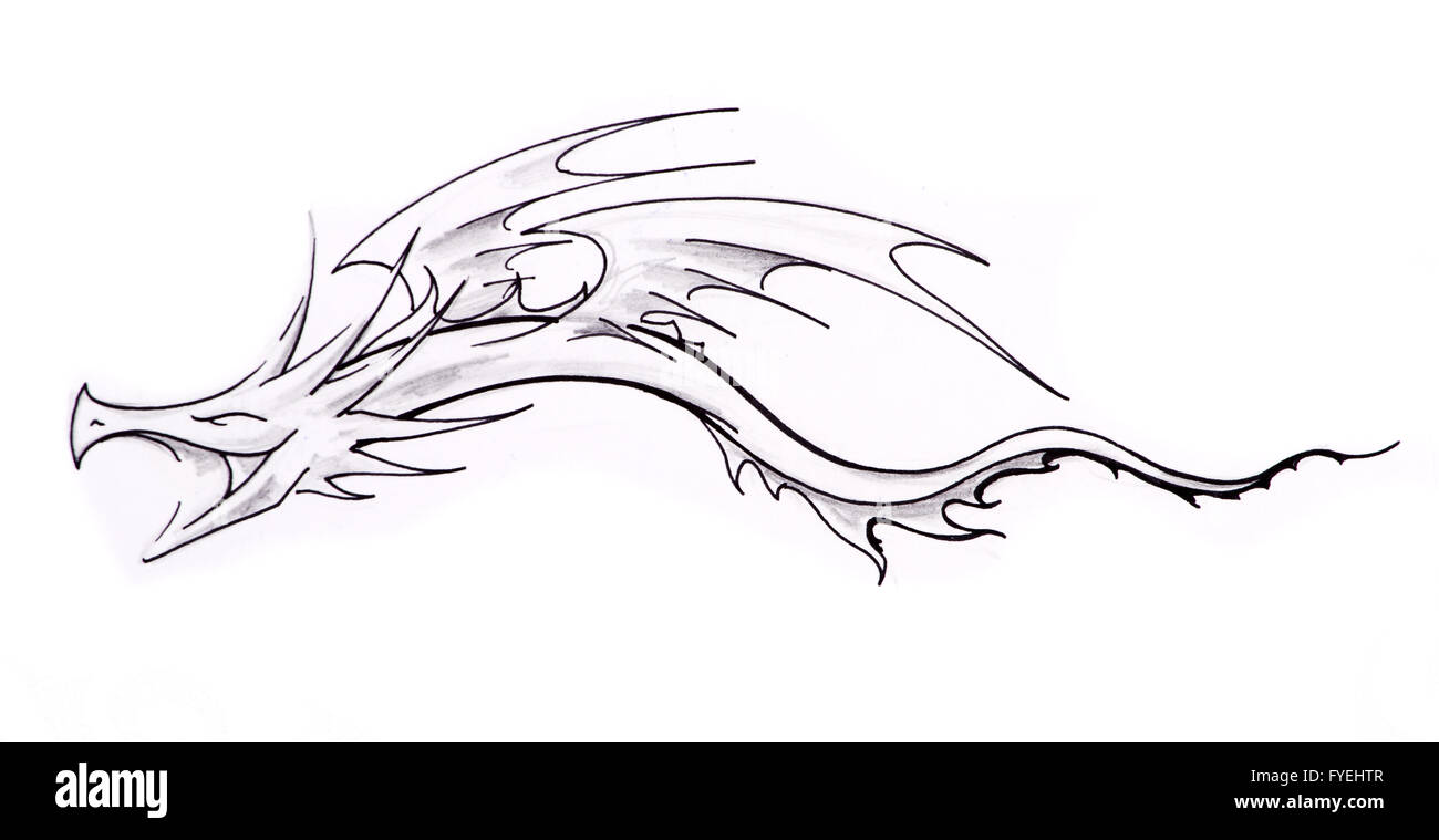 Schizzo di arte del tatuaggio, dragon Foto Stock