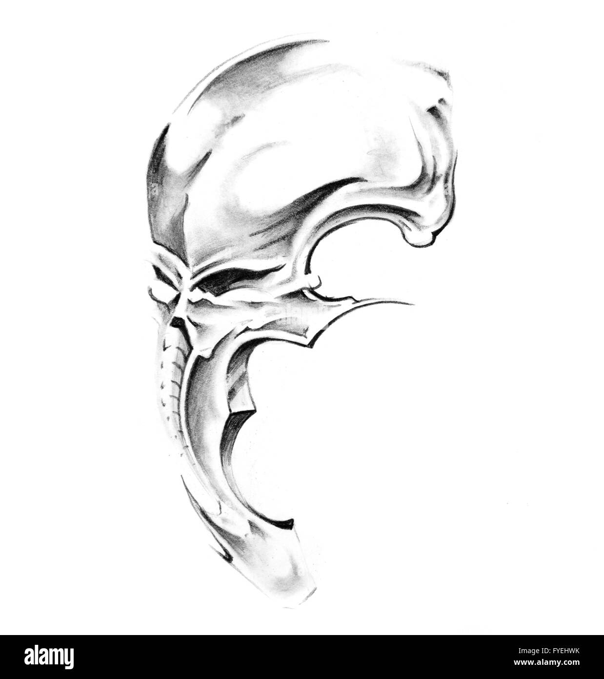 Schizzo di arte del tatuaggio, cranio Foto Stock