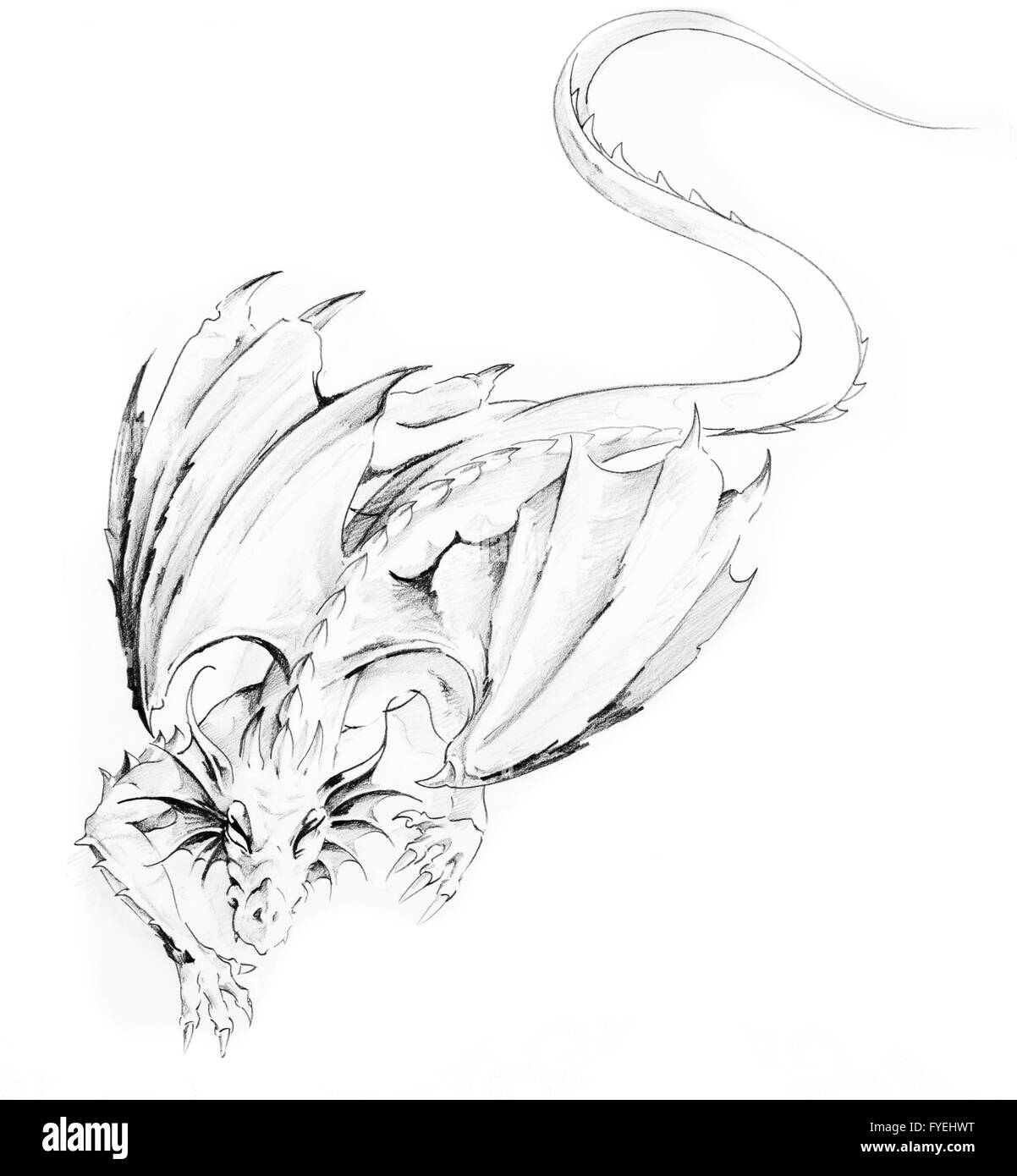 Schizzo di arte del tatuaggio, dragon Foto Stock