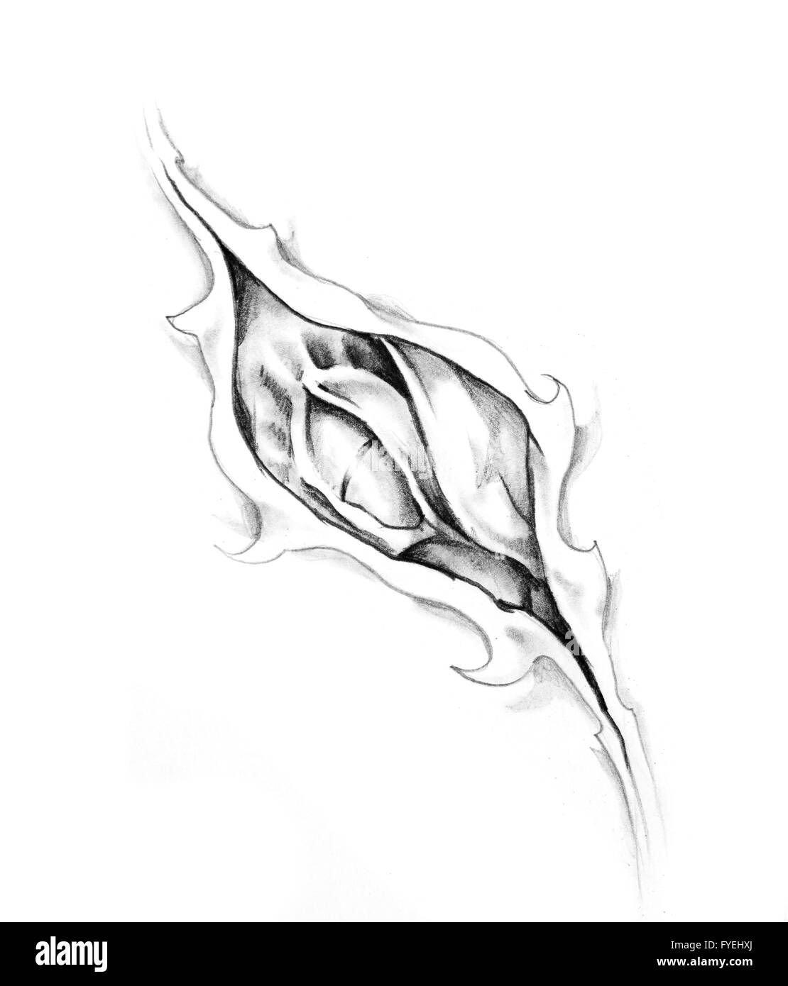 Schizzo di arte del tatuaggio, dragon Foto Stock