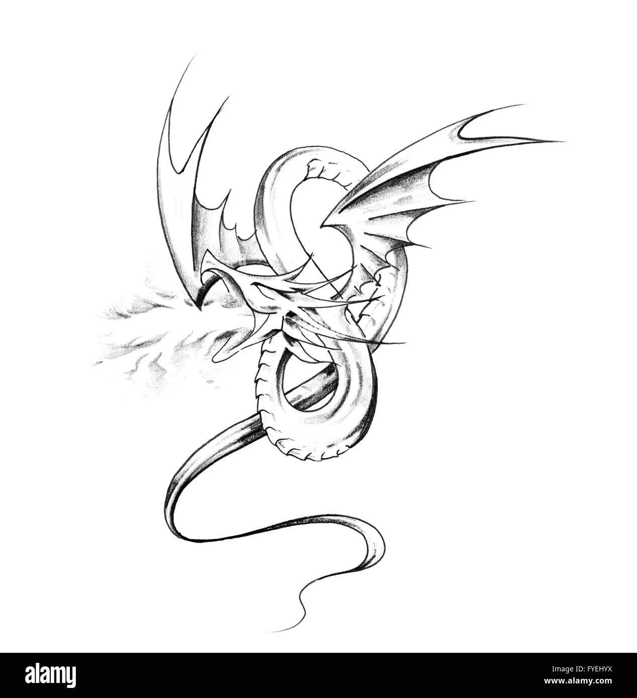 Schizzo di arte del tatuaggio, dragon Foto Stock