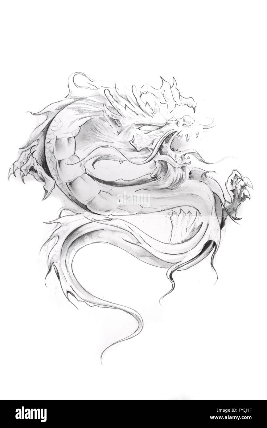 Arte del tatuaggio, schizzo di un drago orientale Foto Stock