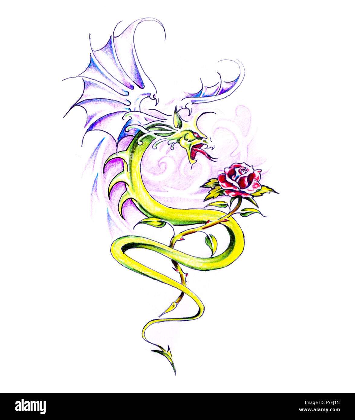 Schizzo di arte del tatuaggio, dragon e rose Foto Stock