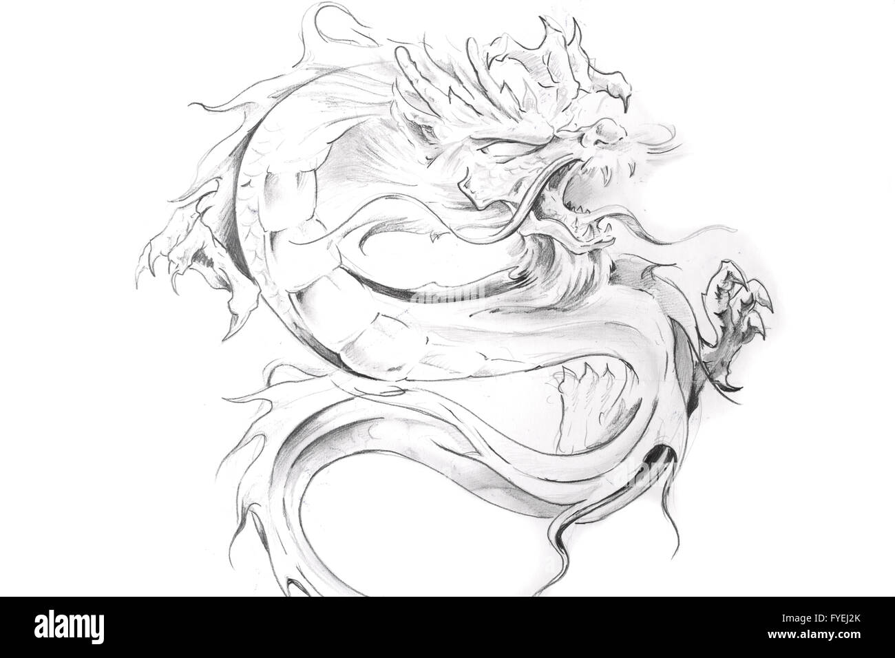 Arte del tatuaggio, schizzo di un drago orientale Foto Stock