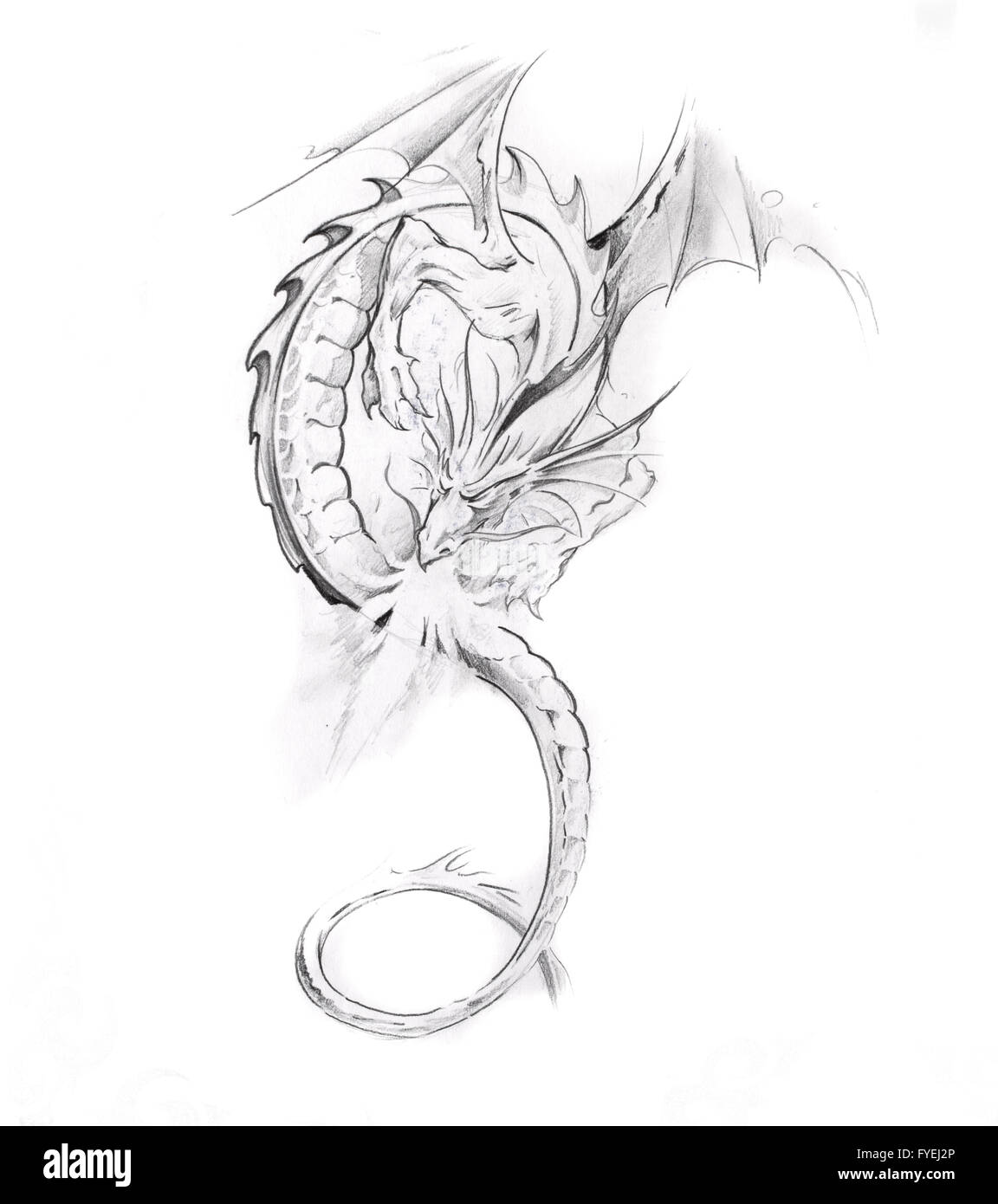 Schizzo di arte del tatuaggio, dragon Foto Stock