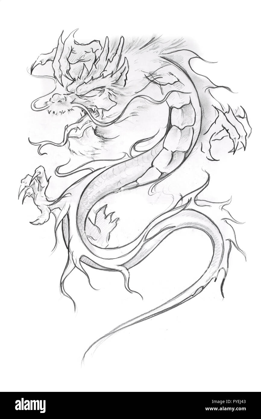 Arte del tatuaggio, schizzo di un drago medievale Foto Stock