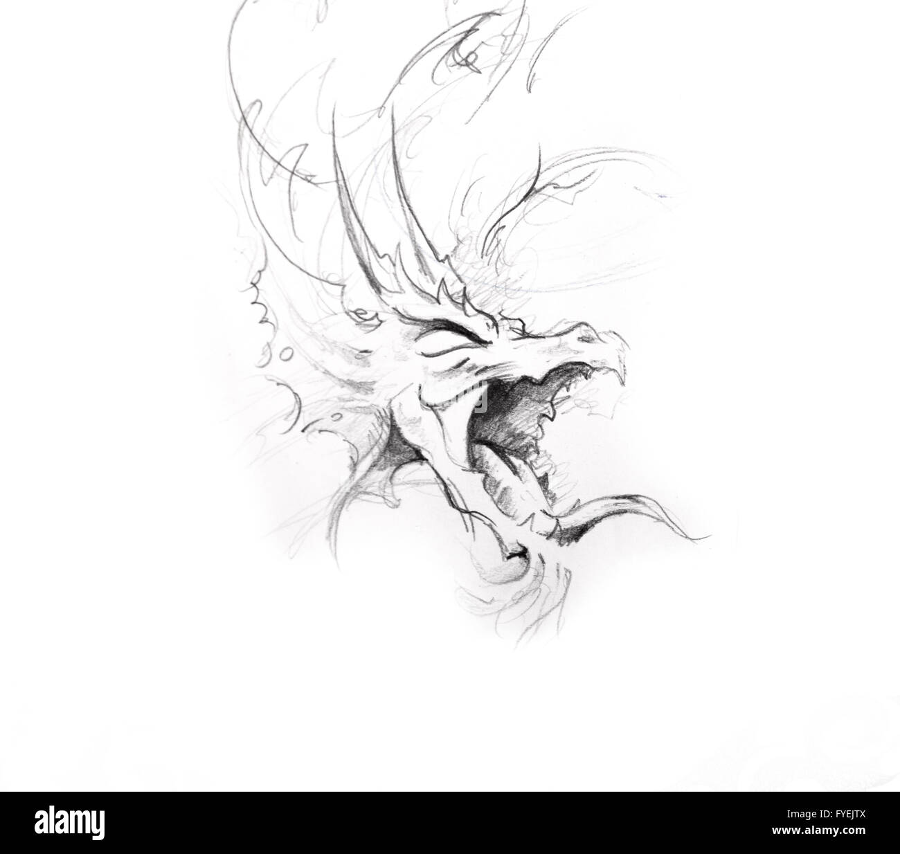 Arte del tatuaggio, schizzo di un drago Foto Stock