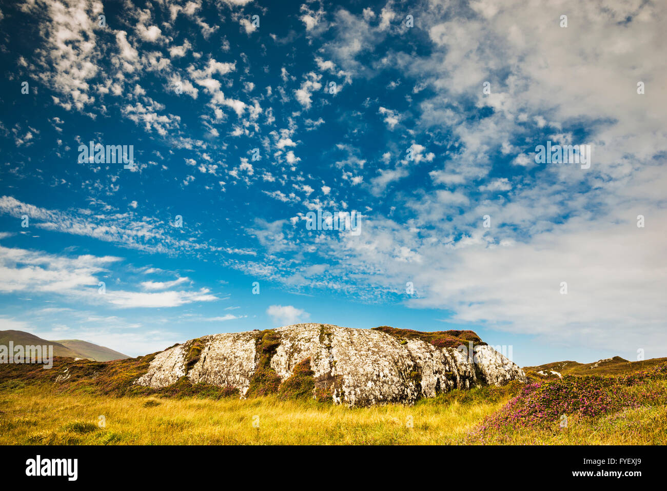 Spettacolare cloud formazione deriva in dall'oceano su pietra arenaria roche moutonee con fioritura western ginestre ed erica Foto Stock